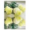 Dream Series Pretty Yellow Rose With Water Reflection Diamond Painting Kits UK AF9350