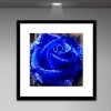 Dream Series Hot Sale Blue Rose Diamond Painting Kits UK AF9315