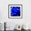 Dream Series Hot Sale Blue Rose Diamond Painting Kits UK AF9315