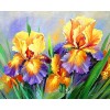 Oil Painting Style New Arrival 5d Diy Diamond Painting Embroidery Flowers Kits UK VM39455