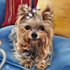 Hot Sale Rhinestone Painting Cute Dog 5d Diy Diamond Painting Kits UK VM6003