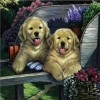 Best 2019 Oil Painting Style Pet Dog Diy 5d Full Diamond Painting Kits UK QB5455