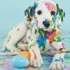 2019 New Hot Sale Colorful Dog Wall Decor 5d Diy Diamond Painting Kits UK VM7870