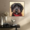 Cheap Oil Painting Style Pet Dog Diy 5d Full Diamond Painting Kits UK QB5492