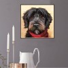 Cheap Oil Painting Style Pet Dog Diy 5d Full Diamond Painting Kits UK QB5492