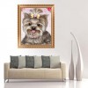 Best Oil Painting Style Pet Cute Dog Diy 5d Full Diamond Painting Kits UK QB5450