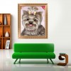 Best Oil Painting Style Pet Cute Dog Diy 5d Full Diamond Painting Kits UK QB5450