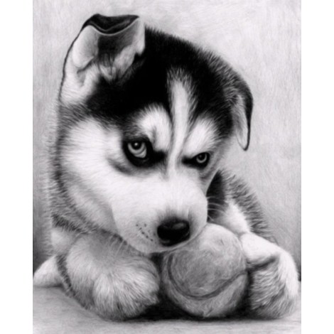 For Beginners Funny Dog 5d Diy Diamond Painting Cross Stitch Kits UK VM3658