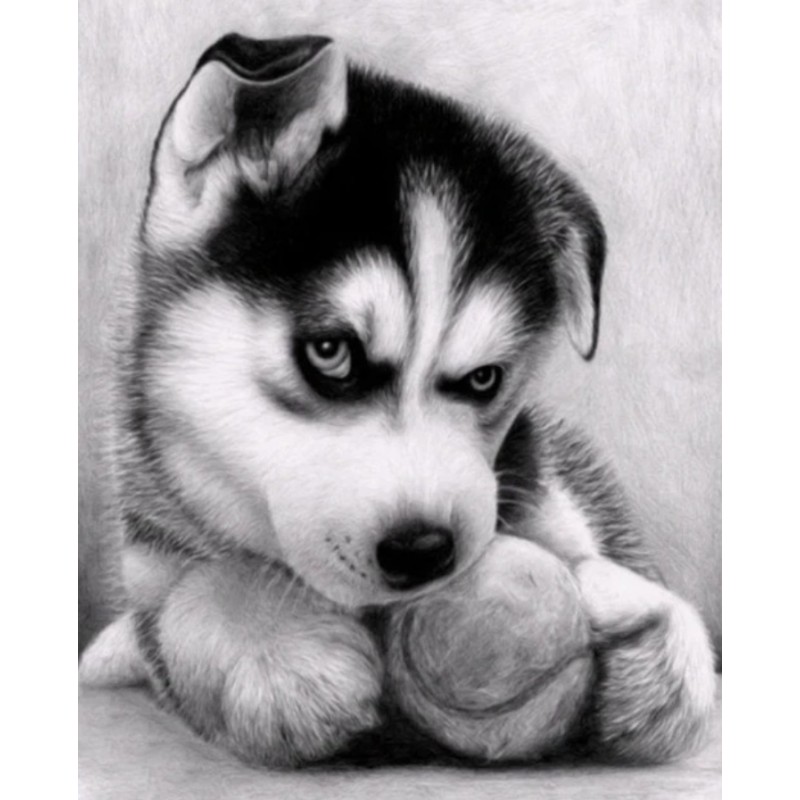 For Beginners Funny ...