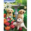2019 Hot Sale Pet Cute Dog Pattern 5d Diy Diamond Painting Kits UK VM9615