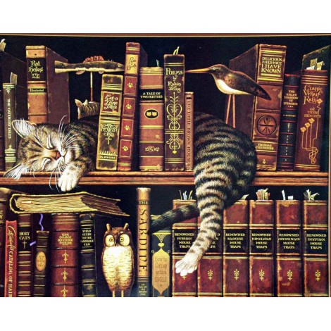 2019 New Hot Sale The Cat Sleeping On Shelf Diamond Cross Stitch Kits UK VM1052