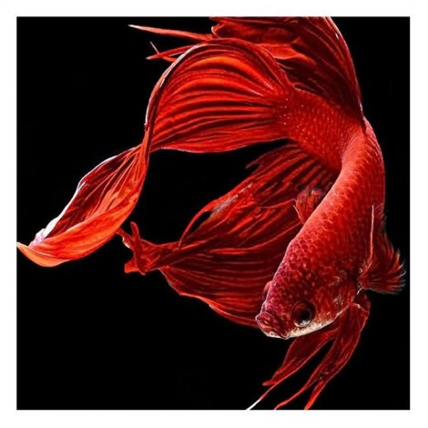 Modern Art Special Mosaic Cross Stitch Red Fish Diy 5d Diamond Painting Kits UK QB5120