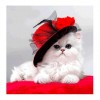 2019 lovely White Cat With Hat 5d Diy Diamond Painting Cross Stitch Kits VM0053