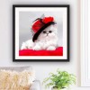 2019 lovely White Cat With Hat 5d Diy Diamond Painting Cross Stitch Kits VM0053