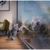 Hot Sale Dream Cheap Creative Mirror Cat 5D Square Diamond Painting UK VM1136