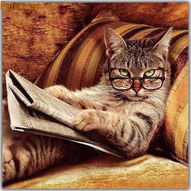 Special Funny Cat Re...