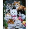 2019 Hot Sale Wall Decor Animal Cute Cats 5d Diy Painting By Crystal Kits UK VM7455