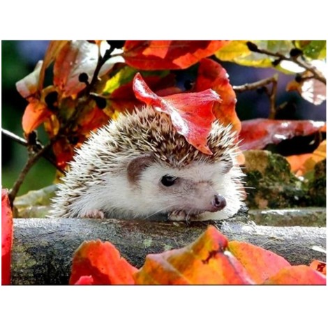 Cute Hedgehogs  Full Drill 5D Diy Diamond Painting Kits Uk VM90829