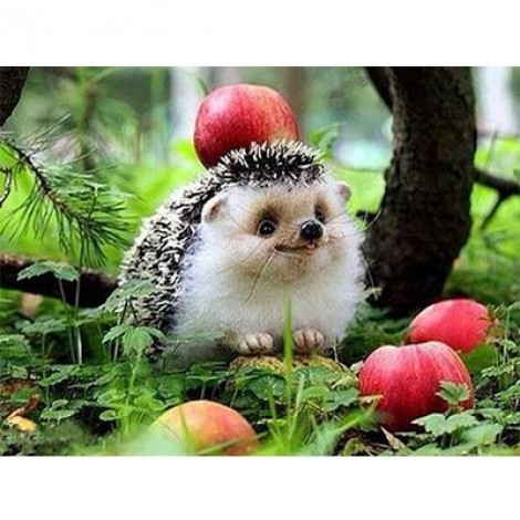 2019 New Hot Sale Photo Hedgehog Pattern 5d Diy Diamond Painting Kits UK VM9069