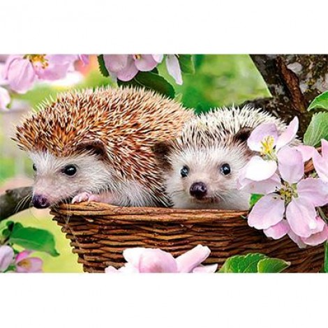2019 New Hot Sale Hedgehog Pattern 5d Diy Diamond Painting Kits UK VM9071