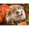 2019 New Hot Sale Photo Hedgehog Pattern 5d Diy Diamond Painting Kits UK VM9070