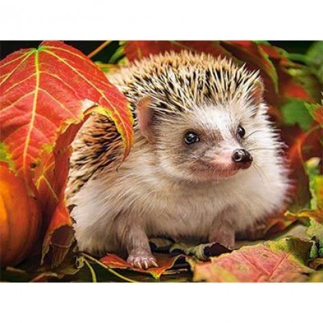 2019 New Hot Sale Photo Hedgehog Pattern 5d Diy Diamond Painting Kits UK VM9070
