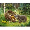 2019 New Hot Sale Cute little Hedgehog 5d Diy Diamond Cross Stitch UK VM1207