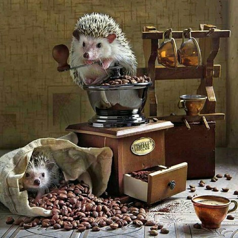 Hot Sale Full Square Drill Hedgehog 5D Diy Cross Stitch Diamond Painting Kits UK NA0353