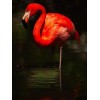 For Beginners Full Diamond Flamingo Diamond Painting Kits UK NA0376