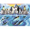 Special Penguin 5D DIY Embroidery Cross Stitch Diamond Painting Kits UK NA00805