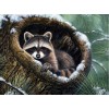Winter Full Square Drill Raccoon 5d Diy Cross Stitch Diamond Painting Kits UK NA90393