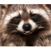 2019 New Hot Sale Cross Stitch Cute Raccoon DIY 5D Diamond Painting Kits UK VM7640