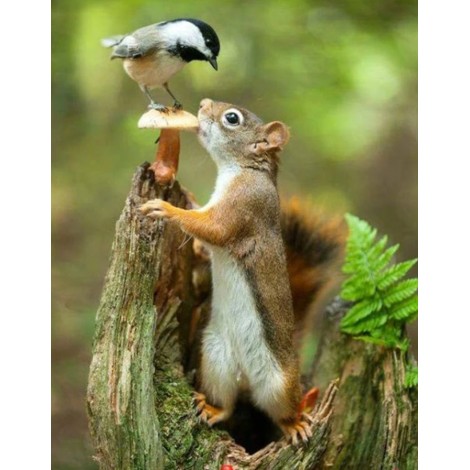 2019 5D Diy Diamond Painting Cross Stitch Squirrel Diamond Embroidery Rhinestone VM90022