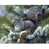 New Arrival Hot Sale Squirrels Snow 5d Diy Diamond Painting Kits UK VM9093