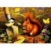 Hot Sale Full Square Drill Squirrel 5d Diy Embroidery Diamond Painting Kits UK NA0454