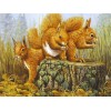2019 New Full Square Drill Squirrel 5d Diy Cross Stitch Diamond Painting Kits UK NA00459