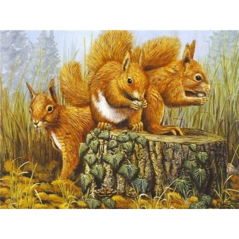 2019 New Full Square Drill Squirrel 5d Diy Cross Stitch Diamond Painting Kits UK NA00459