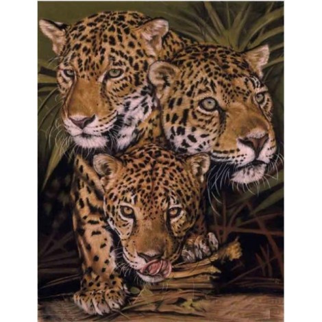 2019 New Animal Leopard Picture Wall Decor 5d Diy Diamond Painting Kits UK VM29522