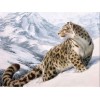 2019 Hot Sale Wall Decor Animal Leopard Portrait Diy 5d Cross Stitch Kits UK VM8407