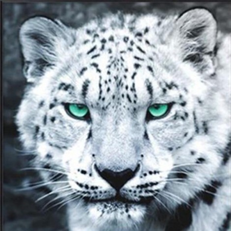 2019 Cheap Diamond Animal Leopard 5d Diy Diamond Painting Kits UK VM7307