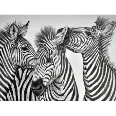 Black White Zebra 5D Diy Embroidery Cross Stitch Diamond Painting Kits UK NA00373