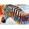 2019 New Hot Sale Animal Colored Zebra Diy Coss Stitch 5d Kits UK VM3600