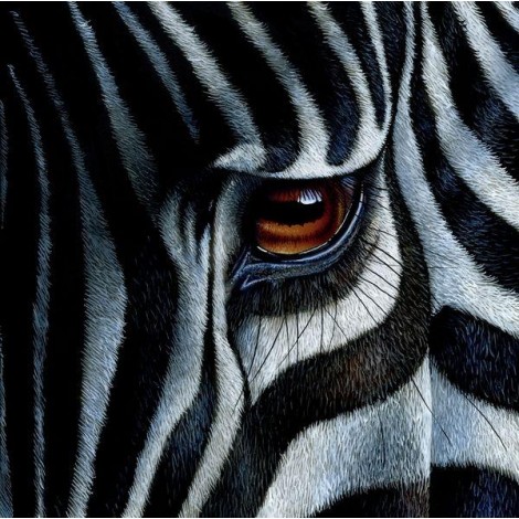 Modern Art Zebra 5D Diy Embroidery Cross Stitch Diamond Painting Kits UK NA00370