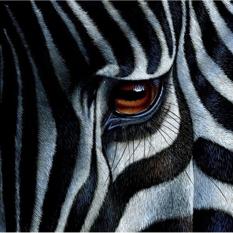 Modern Art Zebra 5D ...