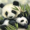 2019 Hot Sale Pandas Pattern 5d Diy Crystal Painting Kits UK VM7319