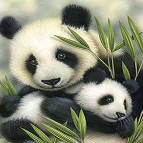 2019 Hot Sale Pandas Pattern 5d Diy Crystal Painting Kits UK VM7319