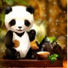 2019 Oil Painting Style Panda 5d Diy Diamond Painting Panda Kits UK VM03011