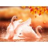 2019 New Hot Sale Elegant Swan Lover Diamond Cross Stitch Kits UK VM2002