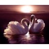 2019 Dream Art Swans Love Pattern Wall Decor 5d Diy Diamond Painting Kits UK VM9933