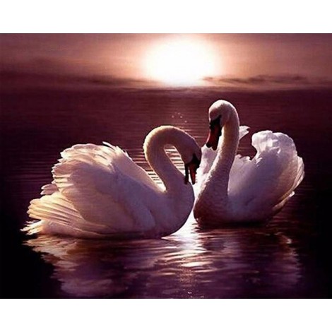2019 Dream Art Swans Love Pattern Wall Decor 5d Diy Diamond Painting Kits UK VM9933